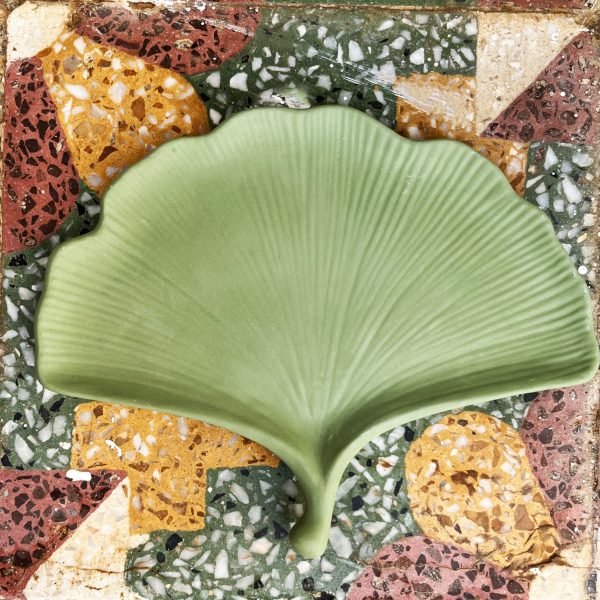Ginkgo Tray - Image 3